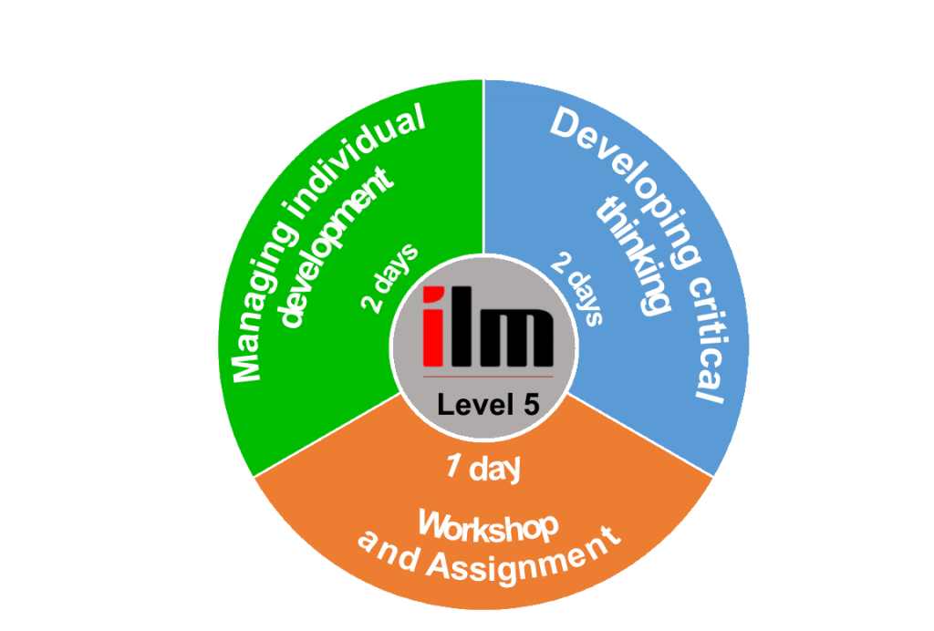 Ilm level 5 leading innovation and change essay 08 picture