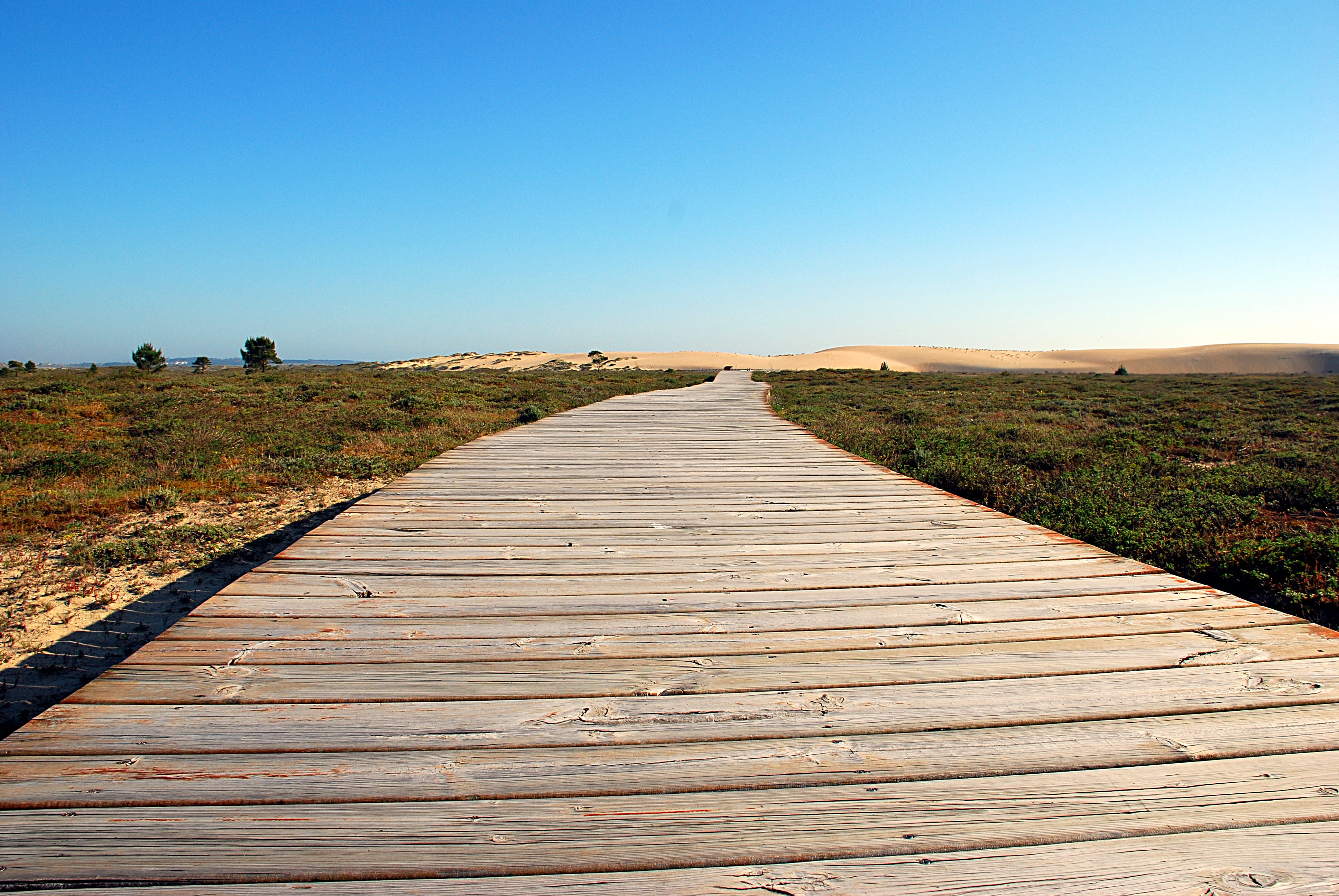 beach path